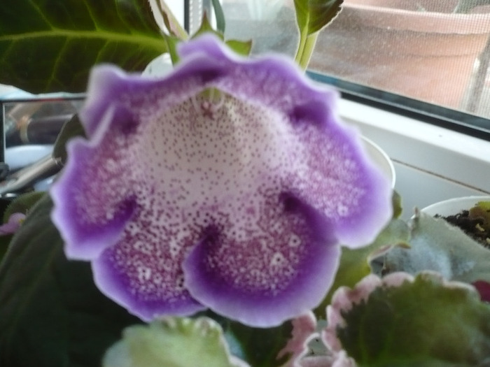 P1080863