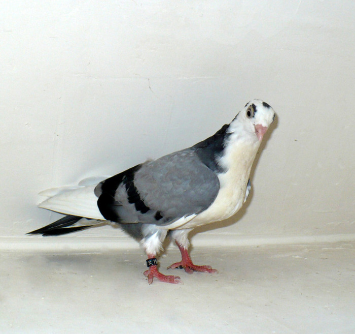 P1080659