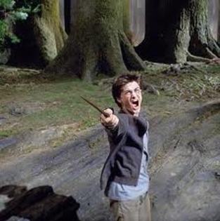 016 - Harry Potter si Prizonierul din Azkaban 2004