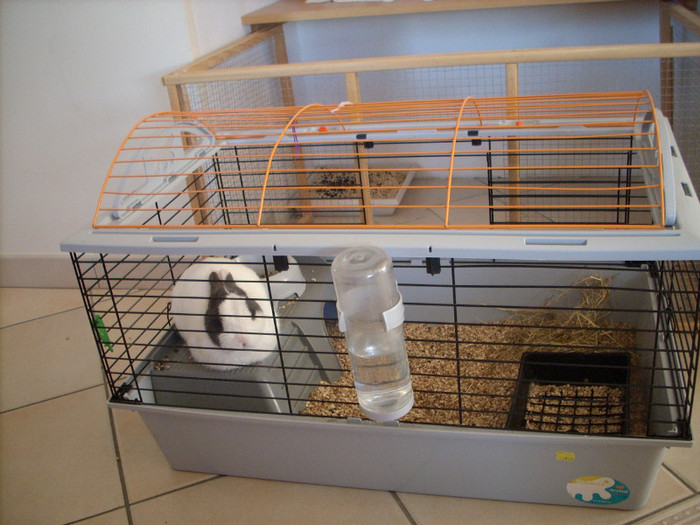 Photo 525