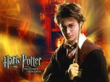 images - Poze Harry Potter