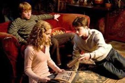 images (11) - Poze Harry Potter