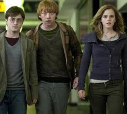 images (14) - Poze Harry Potter