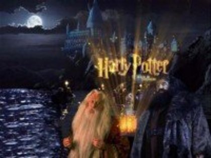 m_110 - Poze Harry Potter