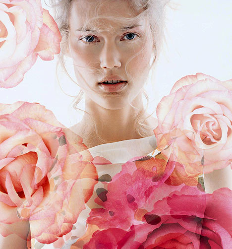 flowerpowerDM2402_468x502