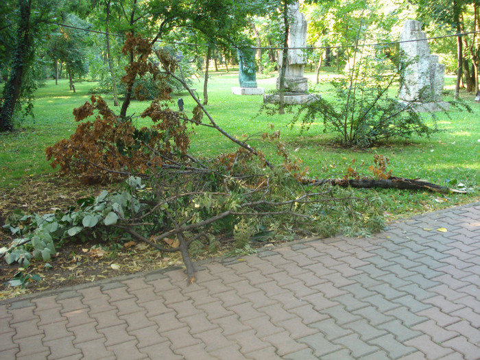 A DOUA ZI - FURTUNA IN BUCURESTI