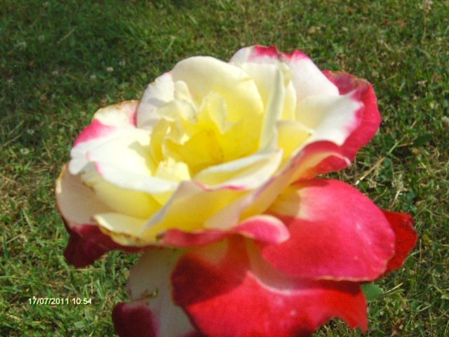 double delight - 07_IULIE