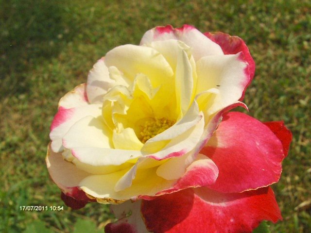 double delight - 07_IULIE