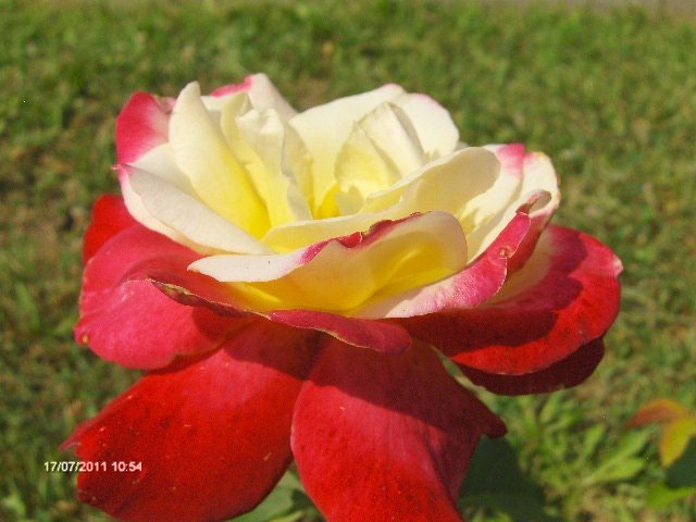 008 - 07_IULIE