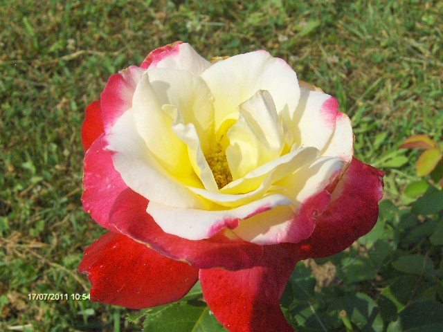 009 - 07_IULIE
