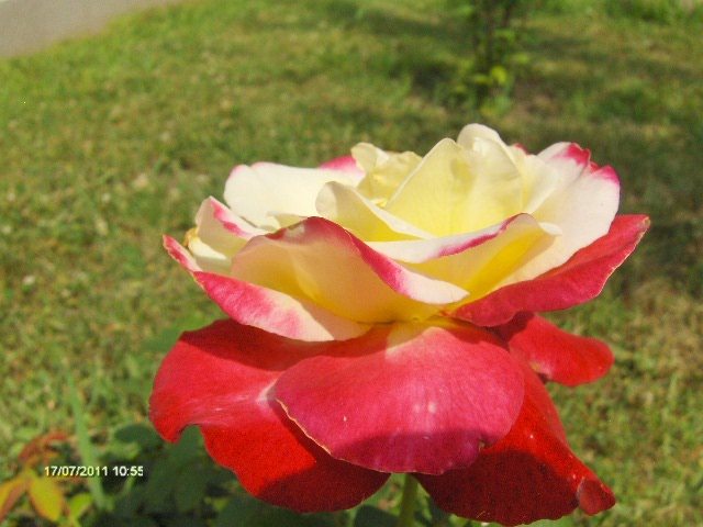 010 - 07_IULIE