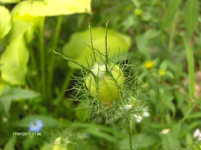 042 - 07_IULIE