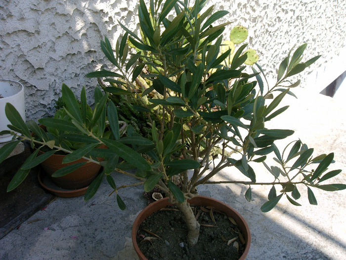 IMAG0039