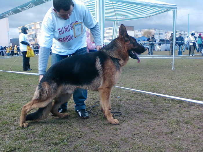 Photo0086 - CAC Brasov Arthur von der Baland