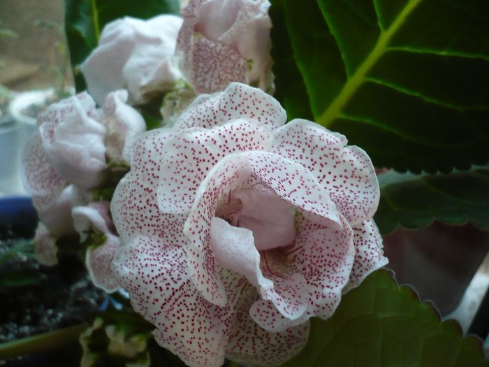 P1080902