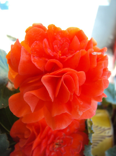 DSC02770