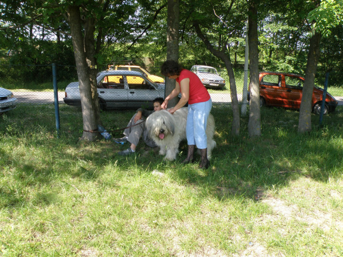 craiova 2009- 28 - Craiova 2009