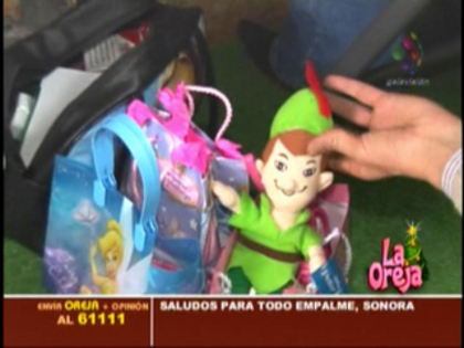 orejarbdfirmamty11pa1