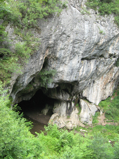 Pestera Bolii - 8 TRANSALPINA