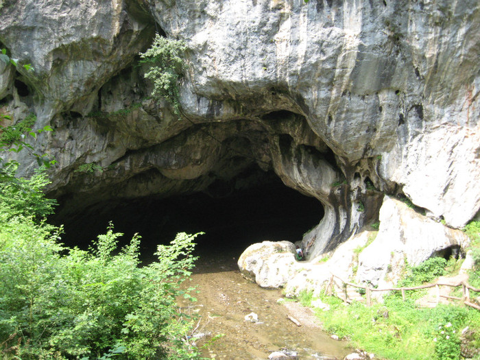 Pestera Bolii - 8 TRANSALPINA