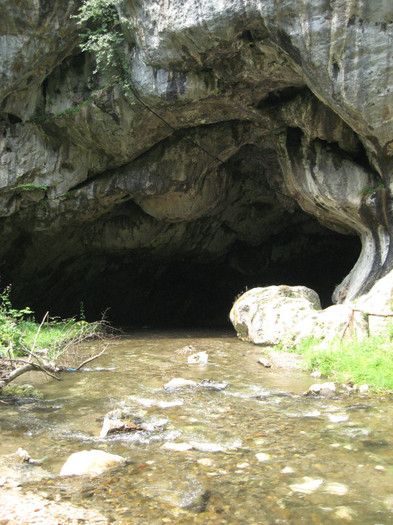 Pestera Bolii - 8 TRANSALPINA