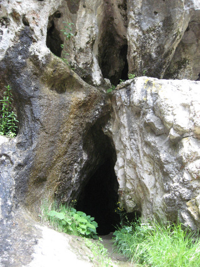 Pestera Bolii - 8 TRANSALPINA