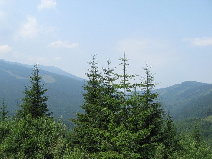 TRANSALPINA-Deva, Ob Lotrului, Rinca, Tg Jiu, Deva. 033 - 8 TRANSALPINA