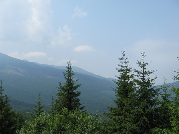 TRANSALPINA-Deva, Ob Lotrului, Rinca, Tg Jiu, Deva. 035 - 8 TRANSALPINA