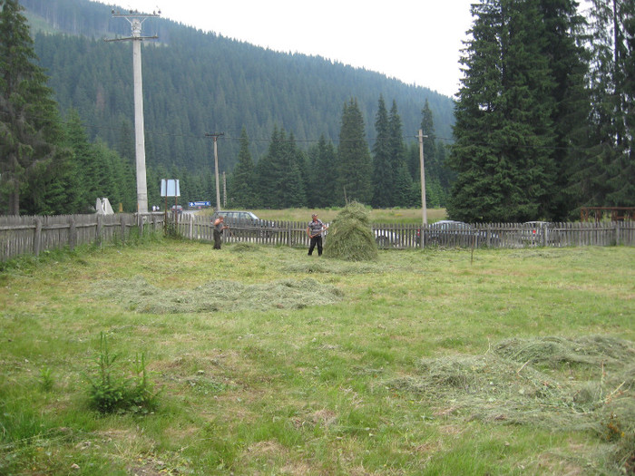 TRANSALPINA-Deva, Ob Lotrului, Rinca, Tg Jiu, Deva. 041 - 8 TRANSALPINA