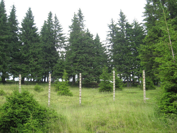 TRANSALPINA-Deva, Ob Lotrului, Rinca, Tg Jiu, Deva. 093