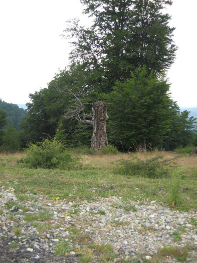 TRANSALPINA-Deva, Ob Lotrului, Rinca, Tg Jiu, Deva. 108