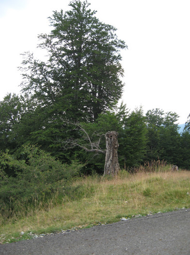 TRANSALPINA-Deva, Ob Lotrului, Rinca, Tg Jiu, Deva. 109