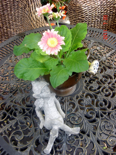 DSC01179
