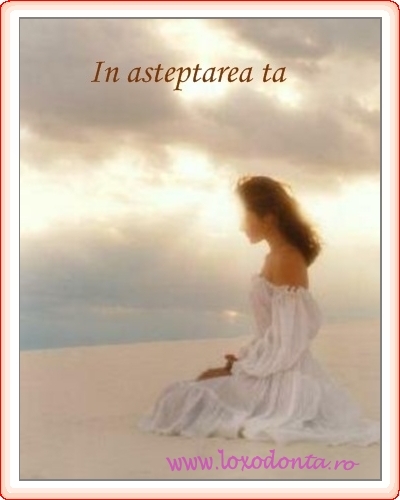 in_asteptarea_ta_429