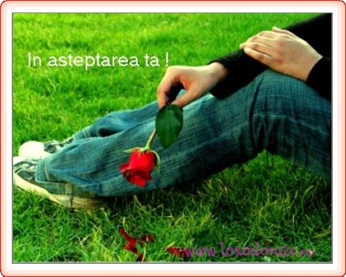 in_asteptarea_ta_1682