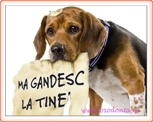 ma_gandesc_la_tine_2608