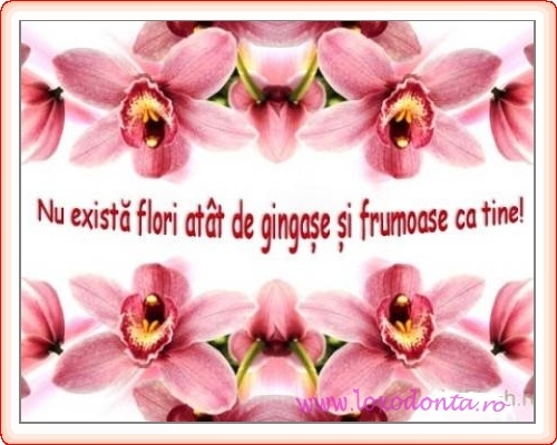 nu_exista_flori_atat_de_gingase_si_frumoase_ca_tine_2739