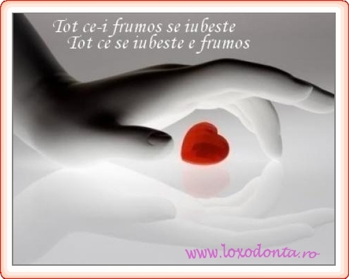 tot_ce-i_frumos_se_iubeste_2079