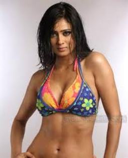 images (63) - Shweta Tiwari