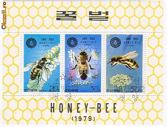albine koreea - totul despre Koreea