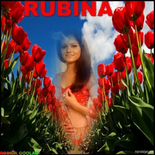 272438_232715446750611_100000364716636_828139_5821696_o - xxRubina Dilaik-Radhikaxx