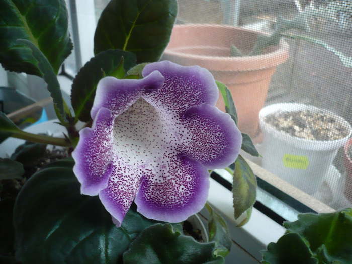 P1080944