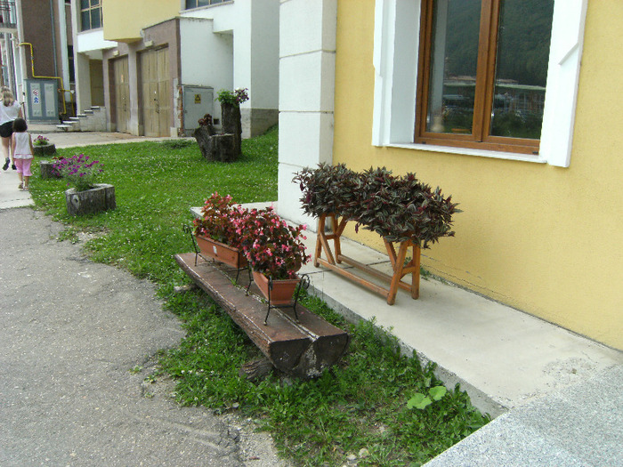 slanic moldova 2011 015; aranjament floral si jardiniere frumoase

