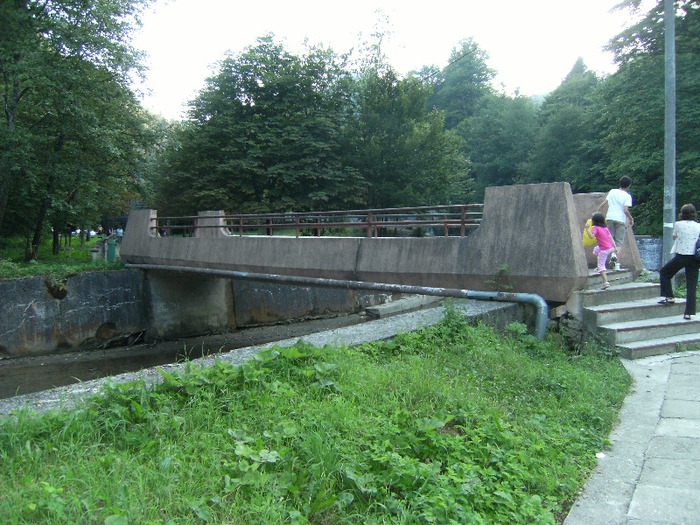 slanic moldova 2011 056; alt podeț
