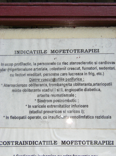 slanic moldova 2011 093 - Slanic Moldova 2011