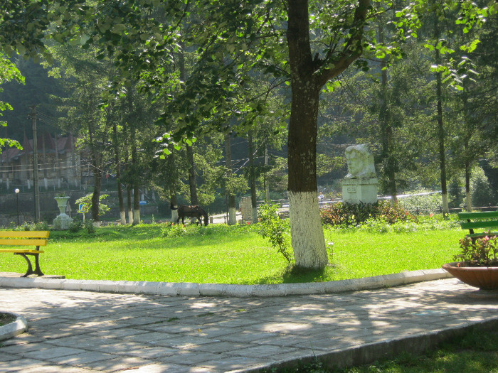 slanic moldova 2 062