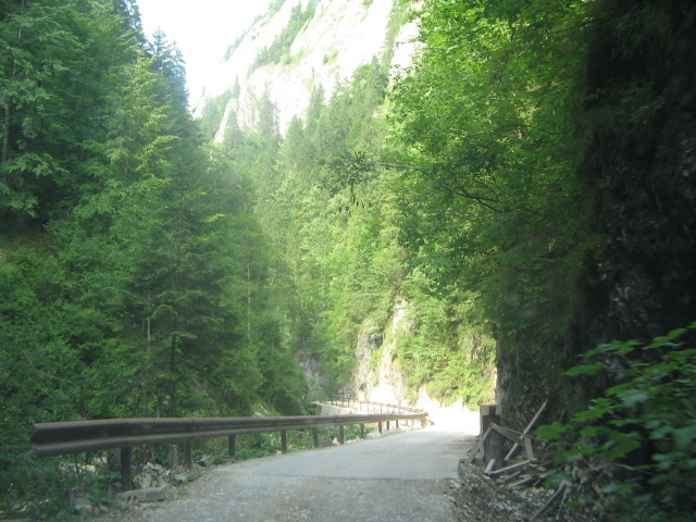 IMG_4567 - Vacanța 2011 1