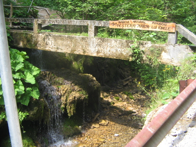 IMG_4552 - Vacanța 2011 1