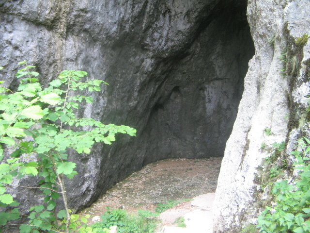IMG_4557 - Vacanța 2011 1