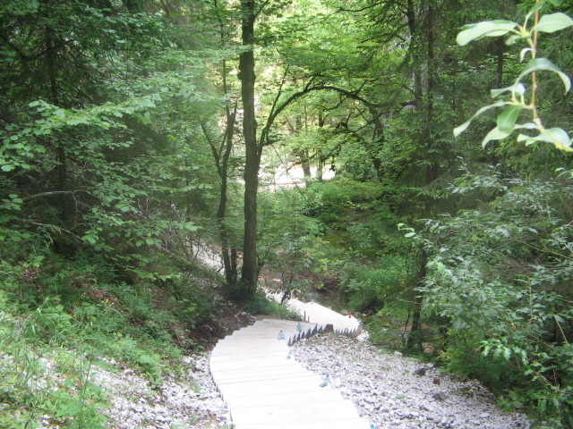 IMG_4559 - Vacanța 2011 1